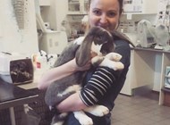 Neutralisering og vaccination af kanin